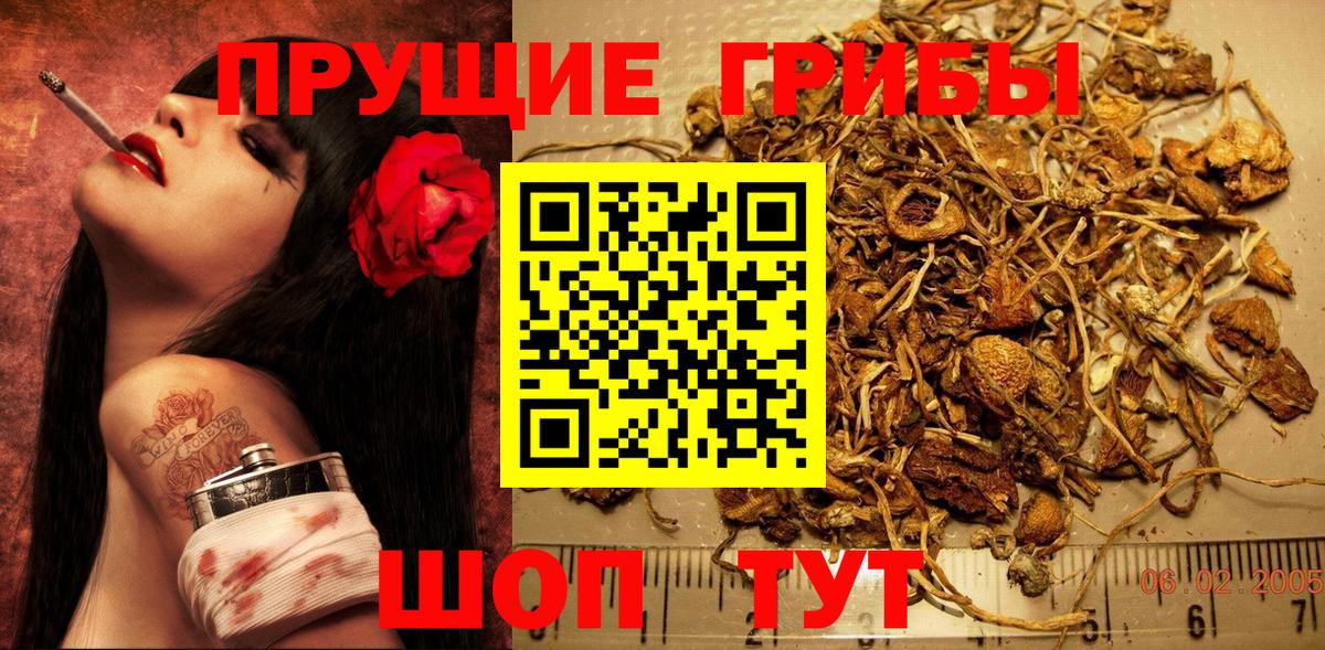 Псилоцибиновые грибы ЛСД Ростов-на-Дону